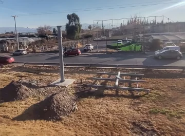 DCC290725-002F07-728x536