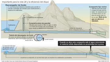 Infografia-pagina-3-web-728x411