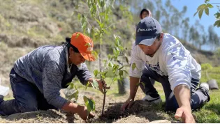 La reforestación de San Juan debe ser prioridad La reforestación de San Juan debe ser prioridad