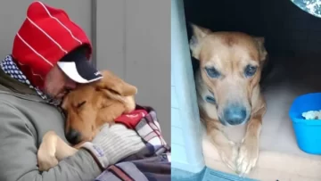 Murió de frío por no abandonar a su perro: la conmovedora historia de Juan y Sultán en Mendoza