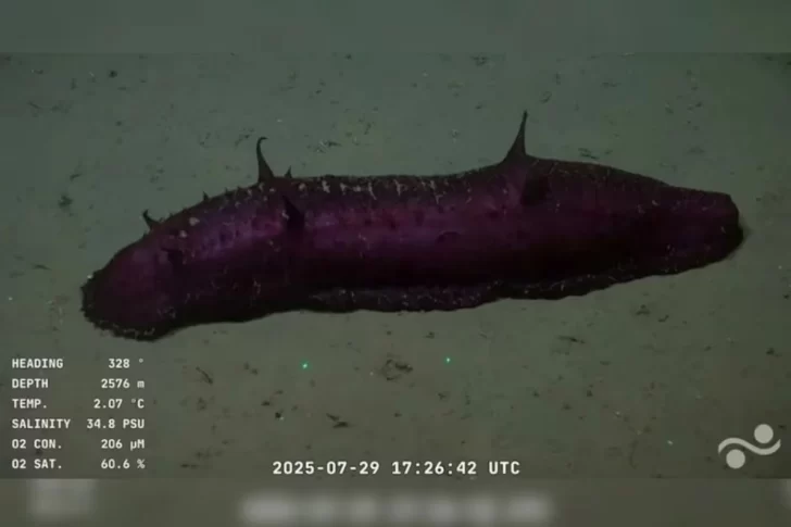 QCL4AV5HAJGQTPDQ7U3Q52GMQM-728x485