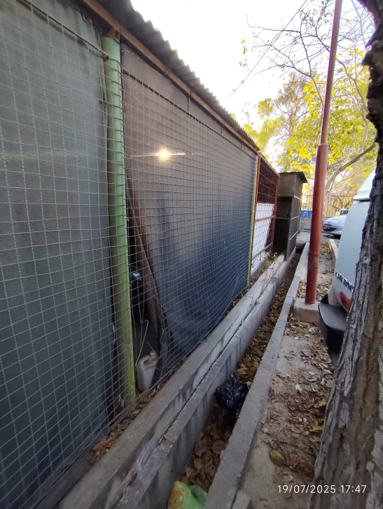 WhatsApp-Image-2025-07-19-at-7.29.51-PM-547x728