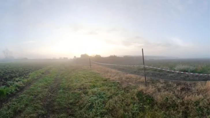 Un bebé de dos años fue hallado muerto y cubierto de mordeduras Un bebé de dos años fue hallado muerto y cubierto de mordeduras