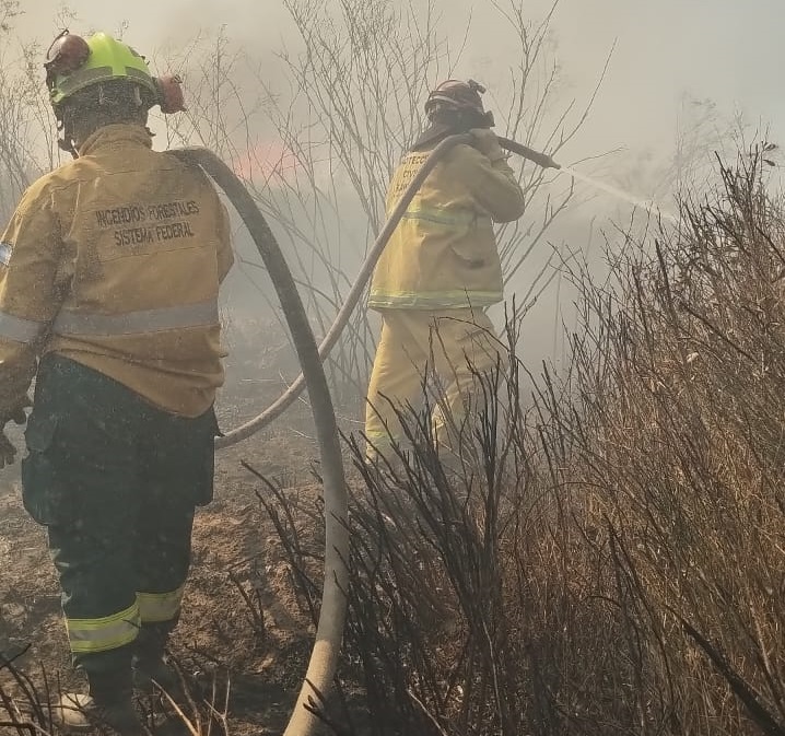 Un incendio arrasó unas 80 hectáreas y amenazó viviendas en Rawson Un incendio arrasó unas 80 hectáreas y amenazó viviendas en Rawson