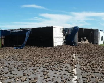 Un camión cargado de papas que iba a Mendoza, volcó en El Encón y su conductor sufrió varias heridas