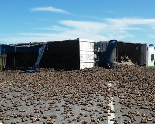 Un camión cargado de papas que iba a Mendoza, volcó en El Encón y su conductor sufrió varias heridas
