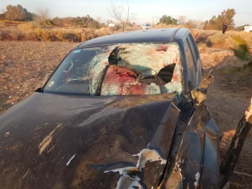 Choque de dos camionetas con caballos en Ruta 40: dieron a conocer la identidad y el estado de los heridos Choque de dos camionetas con caballos en Ruta 40: dieron a conocer la identidad y el estado de los heridos