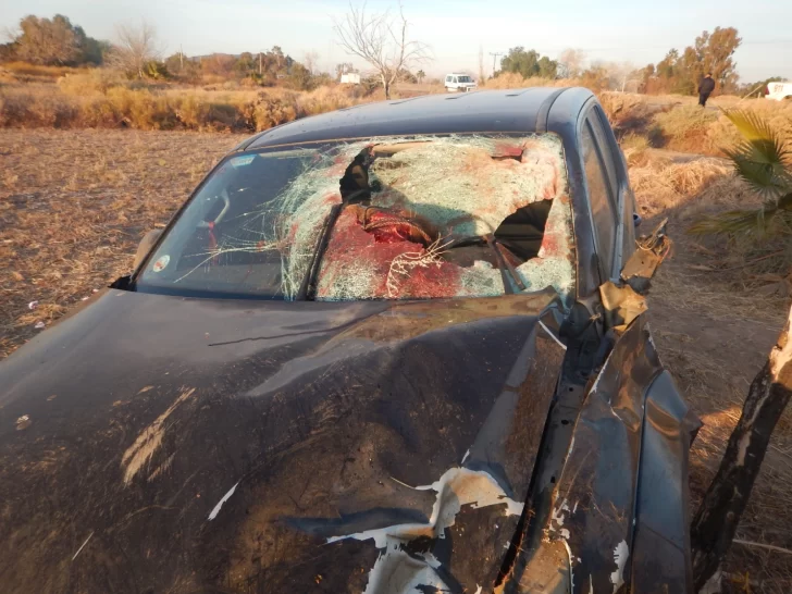 Choque de dos camionetas con caballos en Ruta 40: dieron a conocer la identidad y el estado de los heridos Choque de dos camionetas con caballos en Ruta 40: dieron a conocer la identidad y el estado de los heridos