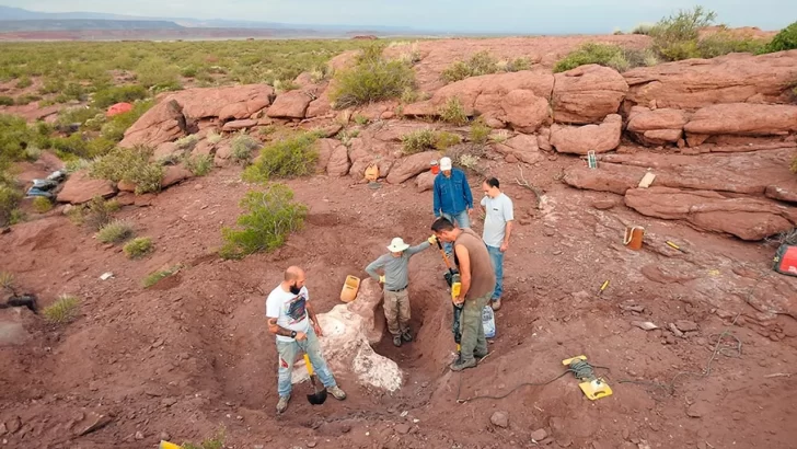 dinosaurios-neuquen2025-728x410