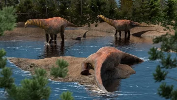 Descubren en Neuquén una nueva especie de dinosaurio que vivió hace 95 millones de años