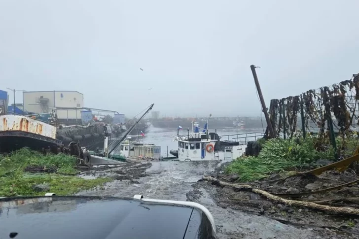 Tsunami en el Pacífico tras Sismo de 8.8 en Rusia: evacúan zonas de Estados Unidos y América Latina