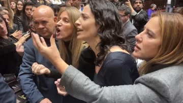 Bochorno en Diputados: diputados K fueron a buscar a Espert y la sesión terminó a los empujones Bochorno en Diputados: diputados K fueron a buscar a Espert y la sesión terminó a los empujones