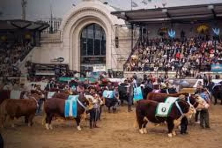 Milei anunciará en la Rural una baja de las retenciones a la carne