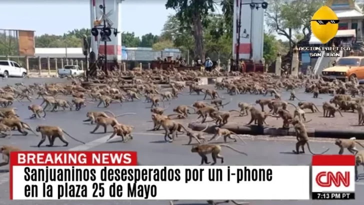 meme-accion-patetica-728x410 meme-accion-patetica-728x410