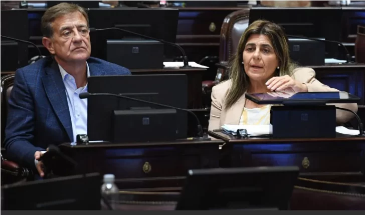 Un proyecto busca frenar candidaturas testimoniales