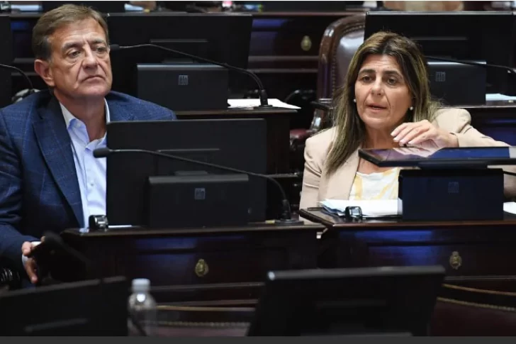 Un proyecto busca frenar candidaturas testimoniales