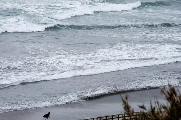Chile bajó el nivel de alerta por tsunami tras el terremoto en Kamchatka