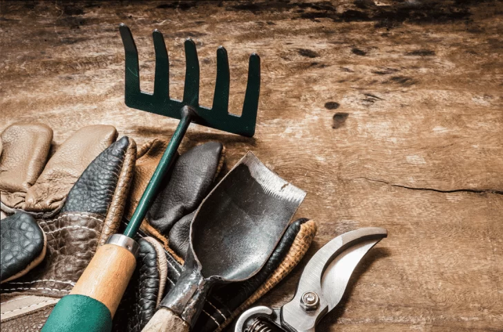 Labores antes de la primavera