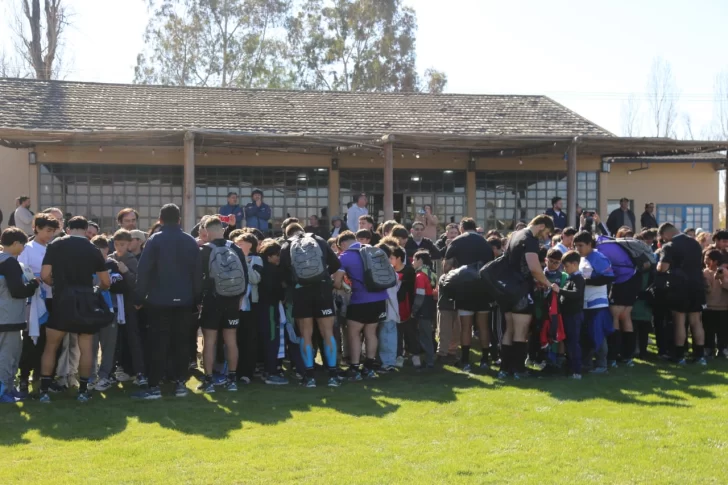 pumas-en-san-juan-2025-4-728x485 pumas-en-san-juan-2025-4-728x485