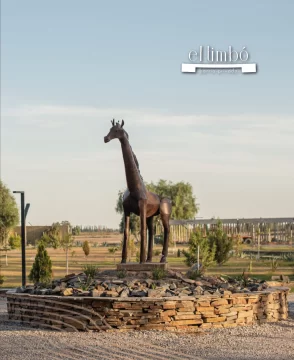 Un lugar con privilegios en el TIMBO Santa Lucia