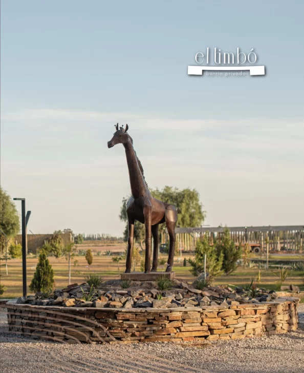 Un lugar con privilegios en el TIMBO Santa Lucia