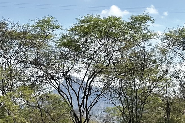 Tapa Revista Oh! 24 de Agosto de 2025