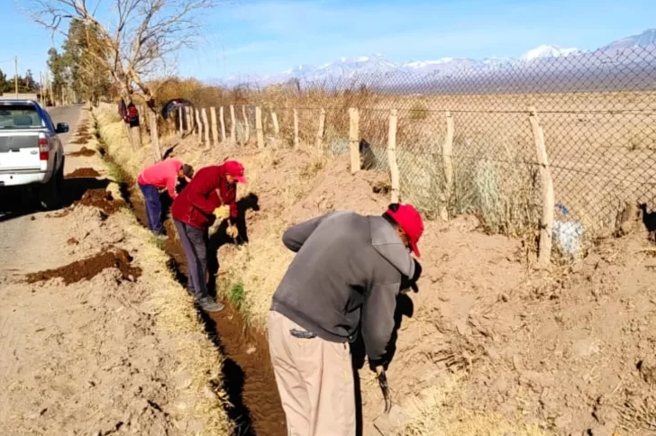 Gran operativo de forestación en Barreal: plantaron más de 300 sauces para mejorar el paisaje y el ambiente