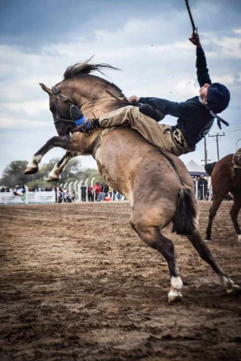 533806814_1191274286360859_7891122709089147817_n-486x728