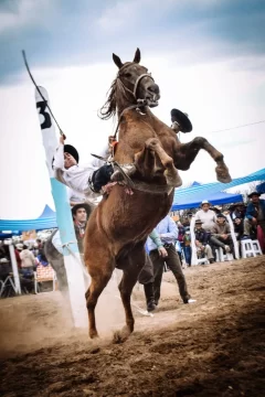 535497129_1191273819694239_4492648564367435540_n-486x728