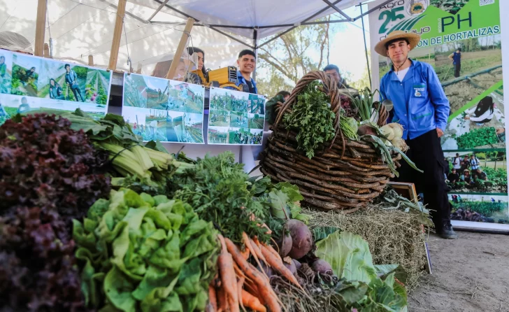 DCC070825-004F06-728x446