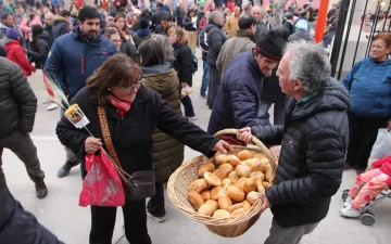 DCC080825-004F04-728x454