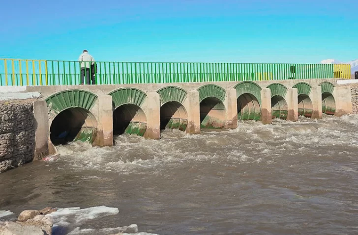 DCC110825-003F08-728x479