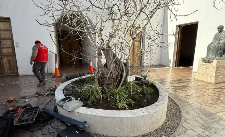 Casa de Sarmiento: científicos recomiendan regar menos el jardín porque eso la daña