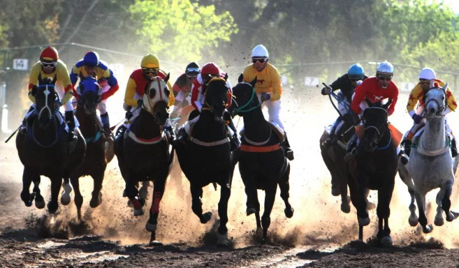 Fiesta de 27 carreras