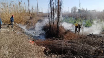 En el Médano apagan hasta dos incendios por día y esperan muchos más las próximas semanas