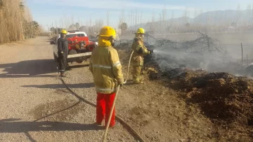 DCC200825-003F08-728x410