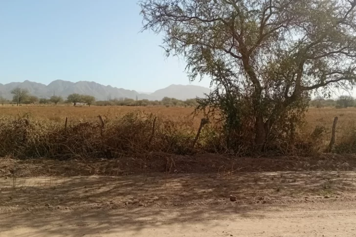 Intervienen para frenar la baja en la producción agrícola de Valle Fértil