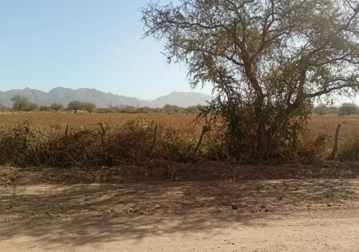 Intervienen para frenar la baja en la producción agrícola de Valle Fértil