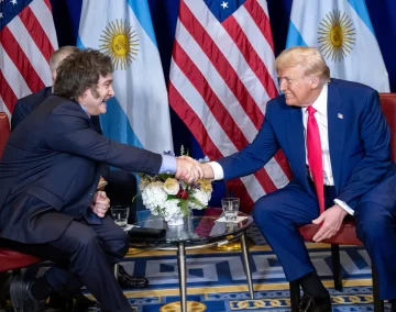 Milei quiere verse con Trump en EEUU e irá a una cumbre de derecha en España