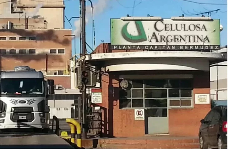 Celulosa Argentina: con un rojo récord y al borde de la quiebra Celulosa Argentina: con un rojo récord y al borde de la quiebra