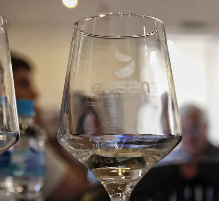 DCC300825-002F07-728x669