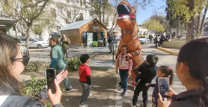 DCC300825-003F06-728x374