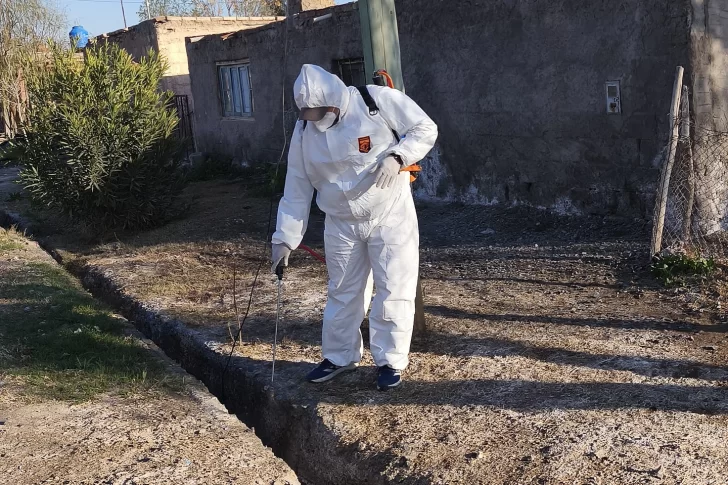 Sarmiento hace punta con acciones para prevenir el dengue en la comuna