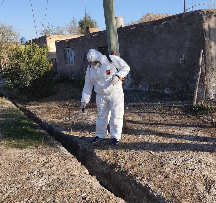 Sarmiento hace punta con acciones para prevenir el dengue en la comuna
