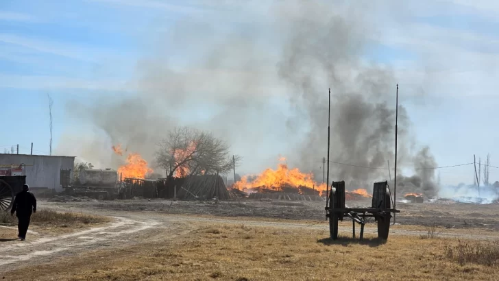 Un voraz incendio arrasó con una finca de Caucete: calculan pérdidas millonarias Un voraz incendio arrasó con una finca de Caucete: calculan pérdidas millonarias