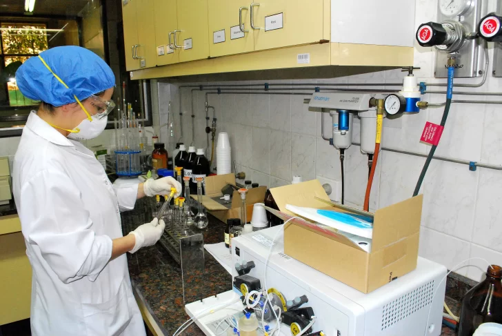 Destacada participación de investigadores de la Católica