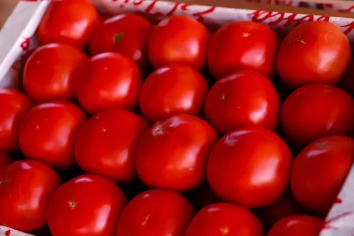 Feria y Mercado de Abasto de Capital: todo el listado de precios de verduras, frutas y carnes Feria y Mercado de Abasto de Capital: todo el listado de precios de verduras, frutas y carnes