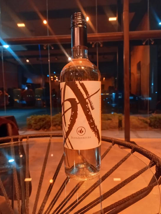 VINO1-546x728 VINO1-546x728