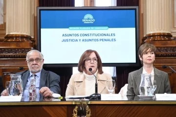 Debate por la Corte en el Senado: el kirchnerismo podría apoyar la iniciativa de un aliado del oficialismo Debate por la Corte en el Senado: el kirchnerismo podría apoyar la iniciativa de un aliado del oficialismo