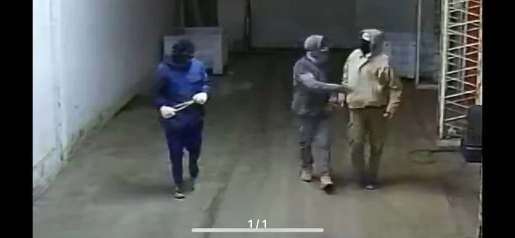 Tres ladrones robaron 8.000 dólares en pasas listas para ser exportadas Tres ladrones robaron 8.000 dólares en pasas listas para ser exportadas